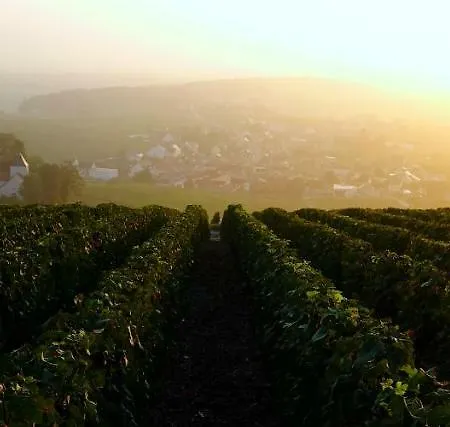 Domaine Les Croix *